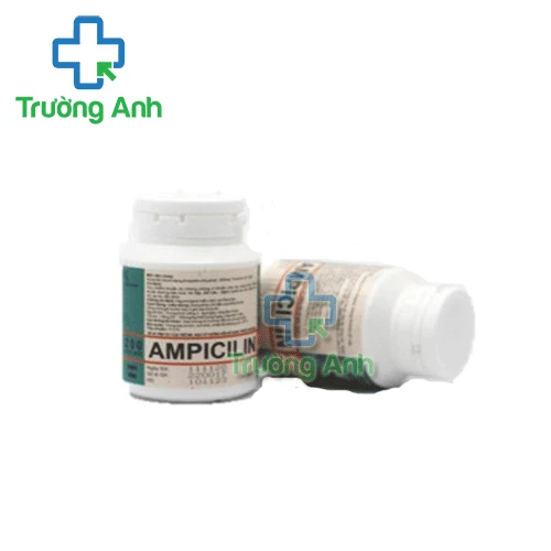 Ampicilin 250mg Pharbaco (lọ) - Thuốc điều trị nhiễm khuẩn