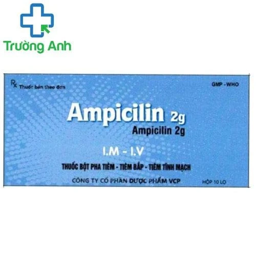 Ampicilin 2g VCP - Thuốc điều trị viêm xoang, viêm thanh quản