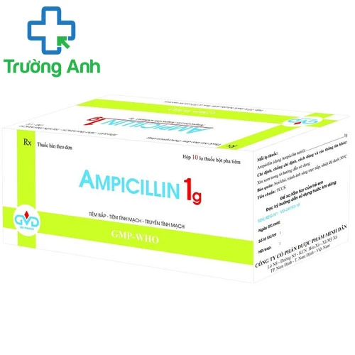 Ampicillin 1g MD Pharco - Điều trị viêm màng não do trực khuẩn