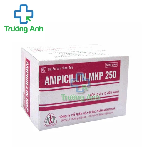 Ampicillin MKP 250 - Thuốc điều trị nhiễm khuẩn hiệu quả