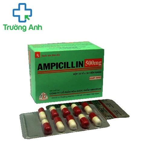 Ampicillin MKP 500 - Điều trị các bệnh lý nhiễm khuẩn hiệu quả