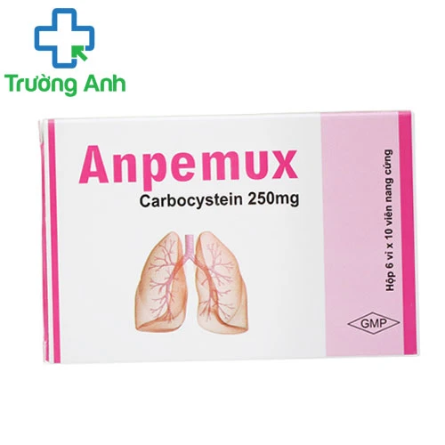 Anpemux - Thuốc điều trị rối loạn về tiết dịch đường hô hấp