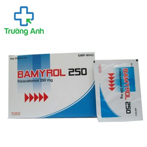 Bamyrol 250 - Giúp giảm đau và hạ sốt hiệu quả của Việt Nam