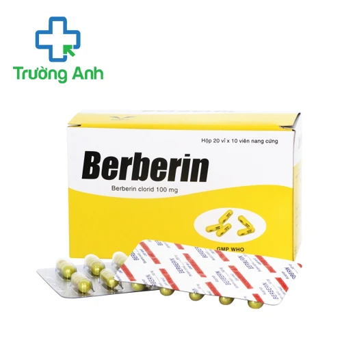 Berberin 100mg Bidiphar - Thuốc điều trị tiêu chảy hiệu quả