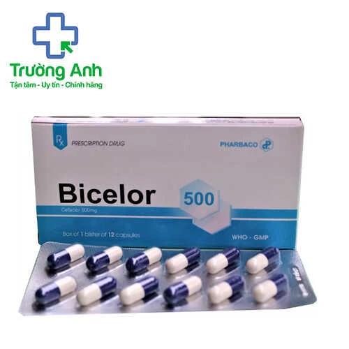 Bicelor 500 - Kháng sinh điều trị ký sinh trùng, nhiễm khuẩn đường hô hấp của Pharbaco