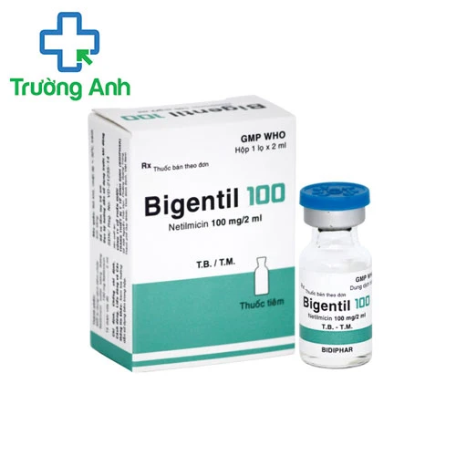 Bigentil 100 Bidiphar - Thuốc điều trị nhiễm khuẩn hiệu quả