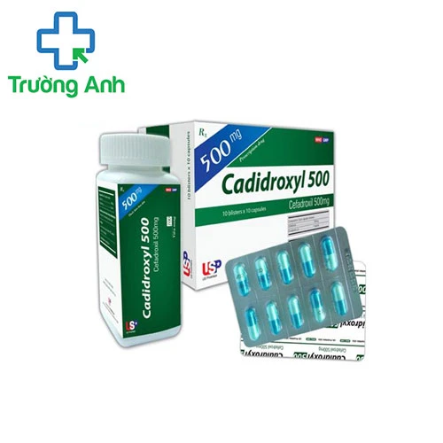 Cadidroxyl 500 USP - Thuốc điều trị nhiễm khuẩn hiệu quả