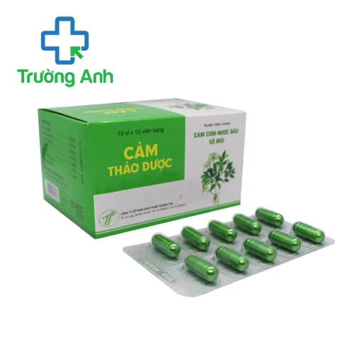 Cảm thảo dược - Giúp điều trị cảm cúm, viêm xoang hiệu quả