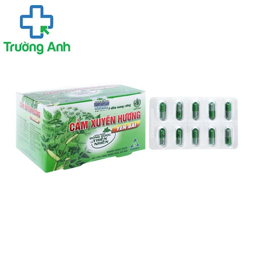 Cảm xuyên hương yên bái (viên) - Điều trị cảm cúm, cảm lạnh