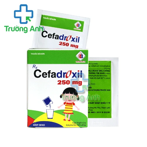 Cefadroxil 250mg Domesco - Thuốc điều trị nhiễm khuẩn