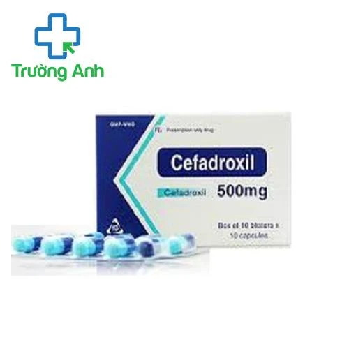 Cefadroxil 500mg TV.Pharm - Thuốc điều trị nhiễm khuẩn hiệu quả