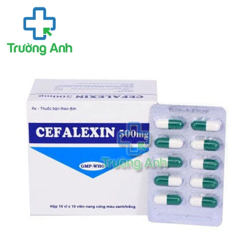 Cefalexin 500mg Tipharco - Thuốc điều trị nhiễm khuẩn hiệu quả