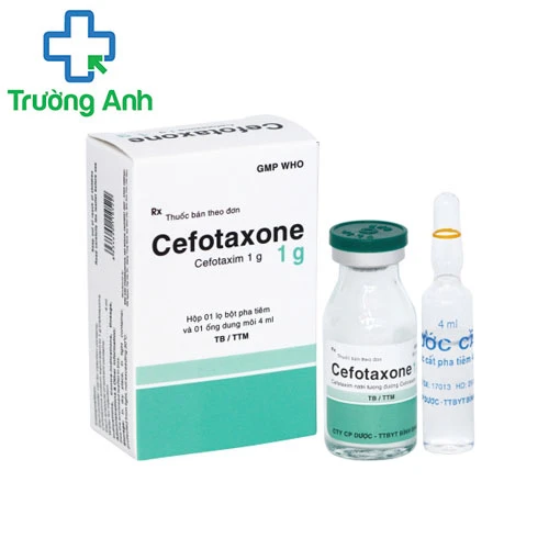 Cefotaxone 1g Bidiphar - Thuốc điều trị nhiễm khuẩn nặng hiệu quả