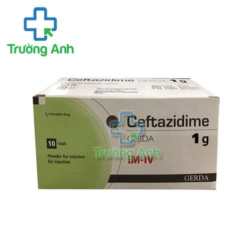 Ceftazidime Gerda 1g - Thuốc điều trị nhiễm khuẩn đường tiêm truyền