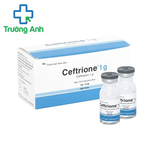 Ceftrione 1g Bidiphar - Thuốc điều trị nhiễm khuẩn hiệu quả