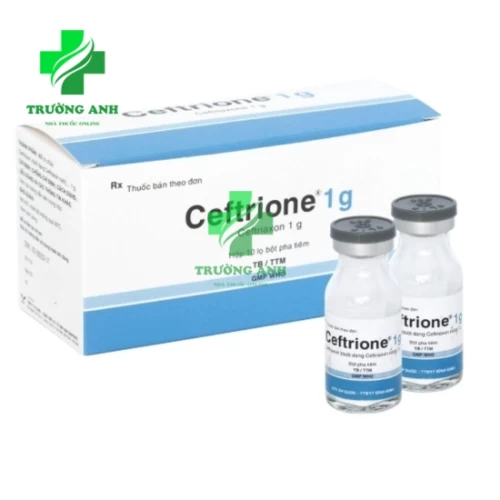 Ceftrione 1g Bidiphar - Thuốc điều trị nhiễm khuẩn hiệu quả