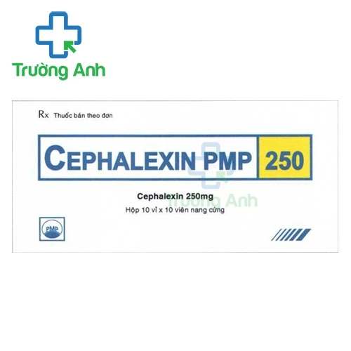 Cephalexin PMP 250 Pymepharco - Thuốc điều trị nhiễm khuẩn hiệu quả