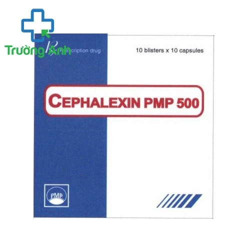 Cephalexin PMP 500 Pymepharco - Thuốc điều trị nhiễm khuẩn hiệu quả