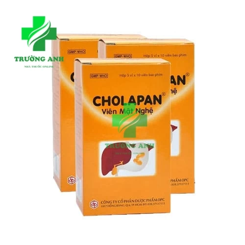 CHOLAPAN Viên mật nghệ - Giúp điều trị đau gan, đau dạ dày mật kém hiệu quả