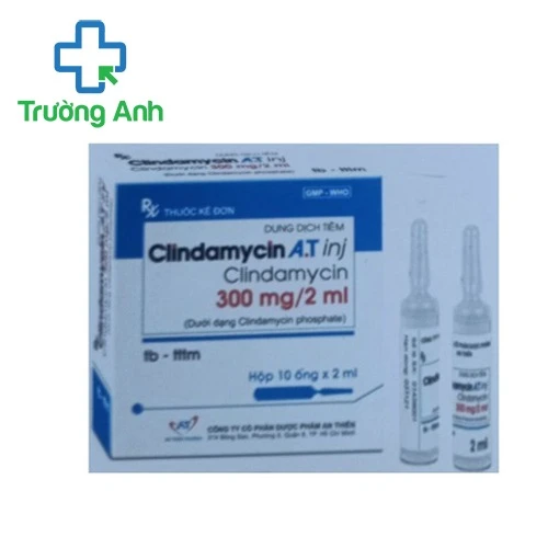 Clindamycin A.T Inj - Thuốc điều trị nhiễm khuẩn một cách hiệu quả