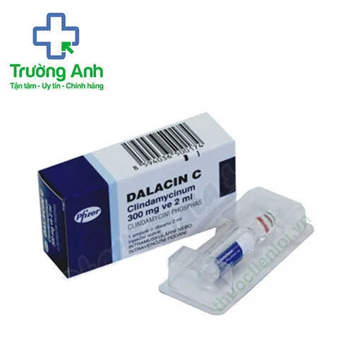 Dalacin C Pfizer - Thuốc điều trị nhiễm khuẩn do vi khuẩn kỵ khí