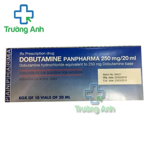 Dobutamine Panpharma 250mg/20ml - Thuốc điều trị bệnh lý tim mạch hiệu quả