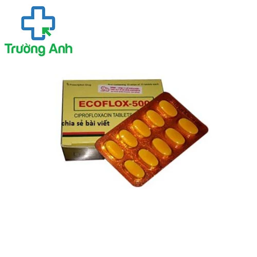 Ecoflox-500 - Thuốc điều trị nhiễm khuẩn nặng của Ấn Độ