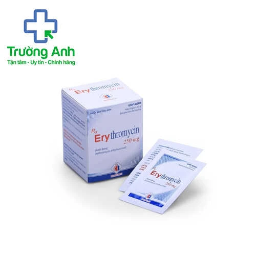 Erythromycin 250mg Domesco - Thuốc điều trị nhiều bệnh nhiễm khuẩn