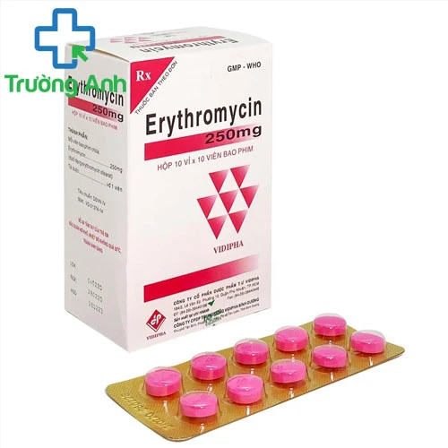 Erythromycin 250mg Vidipha - Thuốc chống nhiễm trùng tai-mũi-họng