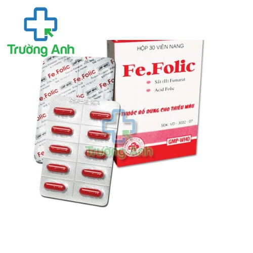 Fe-folic Extra Nic Pharma - Phòng và trị thiếu máu do thiếu sắt 