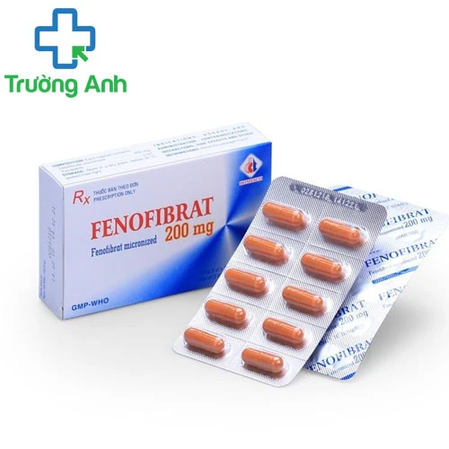 FENOFIBRAT 200MG Domesco - Thuốc điều trị rối loạn lipoprotein