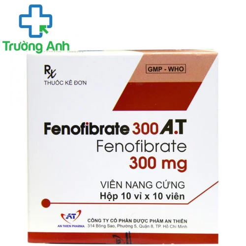 FENOFIBRATE 300 A.T - Thuốc giúp giúp giảm cholesterol và triglyceride