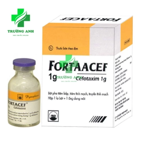 Fortaacef 2g Pymepharco - Thuốc điều trị nhiễm khuẩn nặng hiệu quả