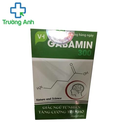 Gabamin - Hỗ trợ điều trị mất ngủ, căng thẳng, suy giảm trí nhớ hiệu quả