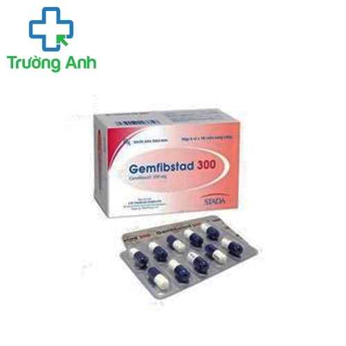 Gemfibstad 300 - Thuốc hạ mỡ máu hiệu quả của Stellapharm