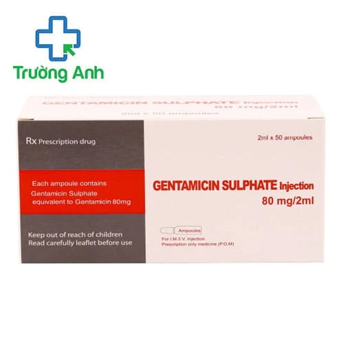 Gentamicin sulphate injection - Điều trị nhiễm trùng tiết niệu, sinh dục