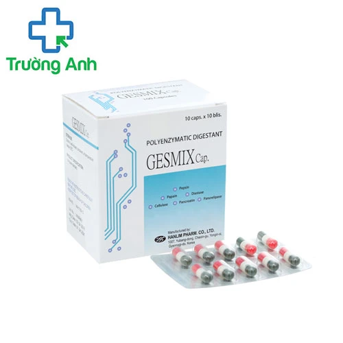 Gesmix - Hỗ trợ điều trị rối loạn tiêu hóa hiệu quả