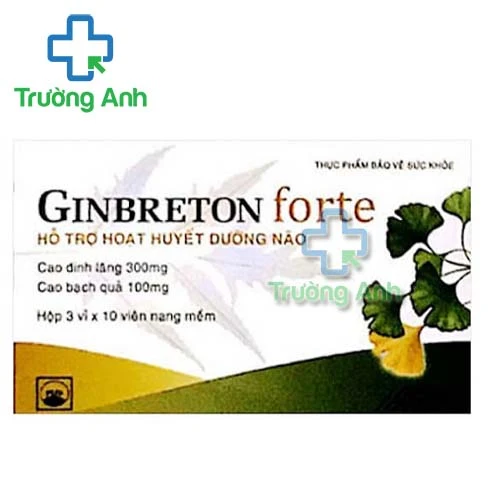 Ginbreton Forte Pymepharco - Cải thiện các di chứng sau đột quỵ,