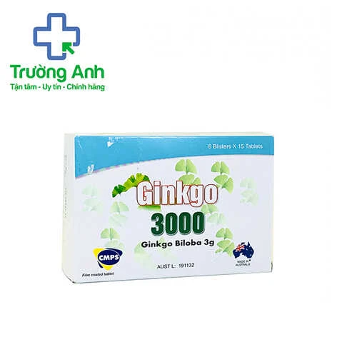 Ginkgo 3000 - Thuốc điều trị suy giảm tuần hoàn máu não