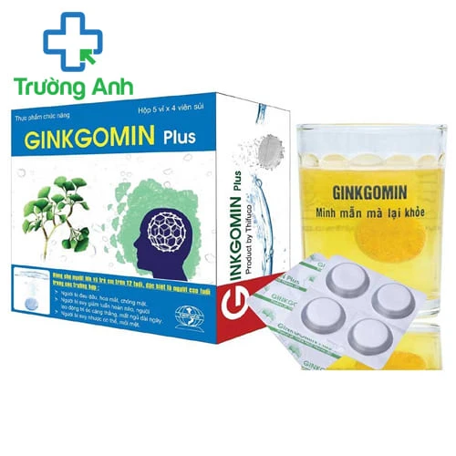Ginkgomin Plus - Điều trị chứng nhức đầu, quay cuồng
