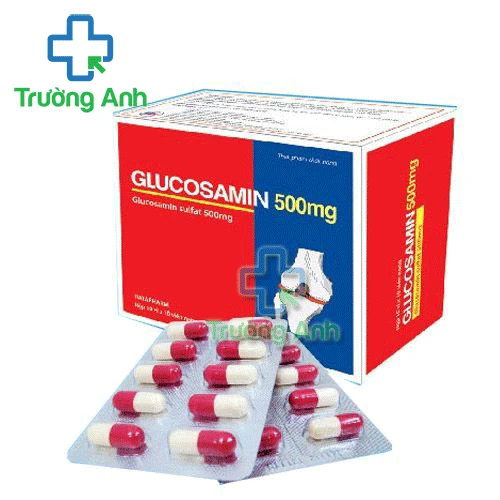 Glucosamin 500mg Hà Tây - Hỗ trợ điều trị các bệnh xương khớp