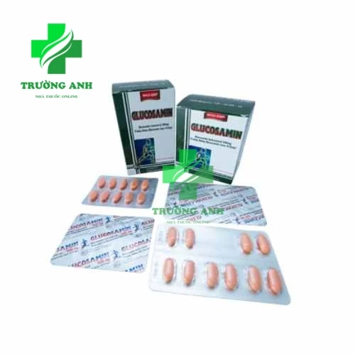 Glucosamin 500mg Khapharco - Thuốc điều trị thoái hóa khớp cấp và mãn tính