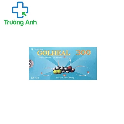 Golheal 300 - Thuốc điều trị rối loạn cảm giác hiệu quả của DP Nam Hà