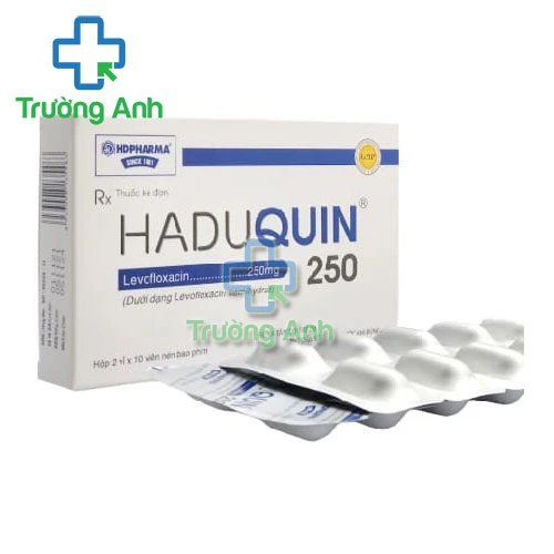 Haduquin 250 HD Pharma - Điều trị nhiễm khuẩn hiệu quả