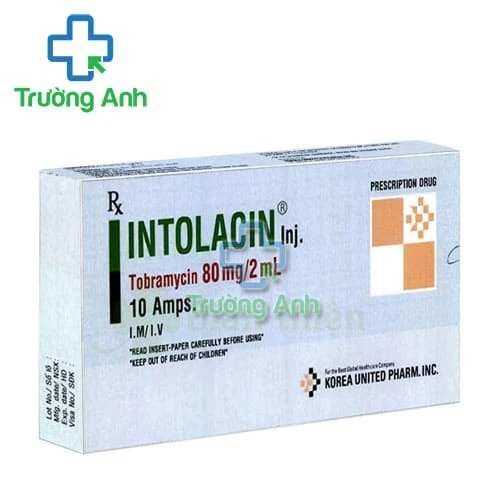 Intolacin Korea United Pharm - Thuốc điều trị nhiễm khuẩn đường tiêm
