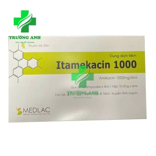 Itamekacin 1000 - Thuốc điều trị nhiễm khuẩn hiệu quả