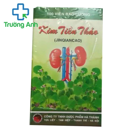 KIM TIỀN THẢO Dphathanh - Thuốc điều trị sỏi thận, sỏi bàng quang