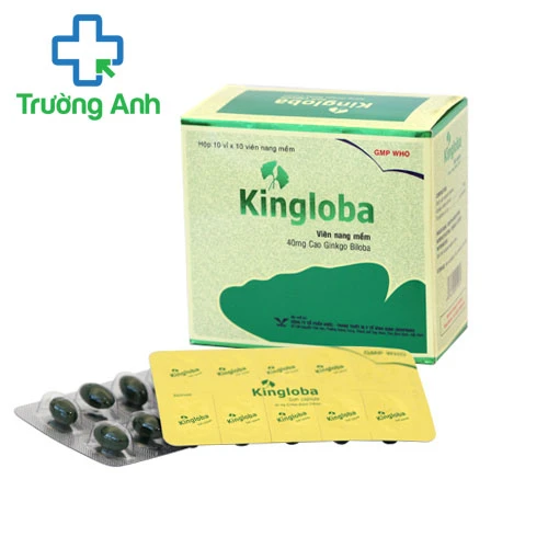 Kingloba - Thuốc điều trị suy giảm trí nhớ, kém tập trung