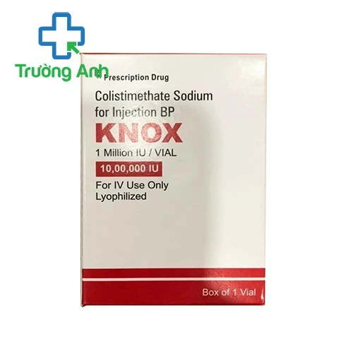 Knox - Thuốc điều trị nhiễm khuẩn nghiêm trọng do Gram âm hiếu khí