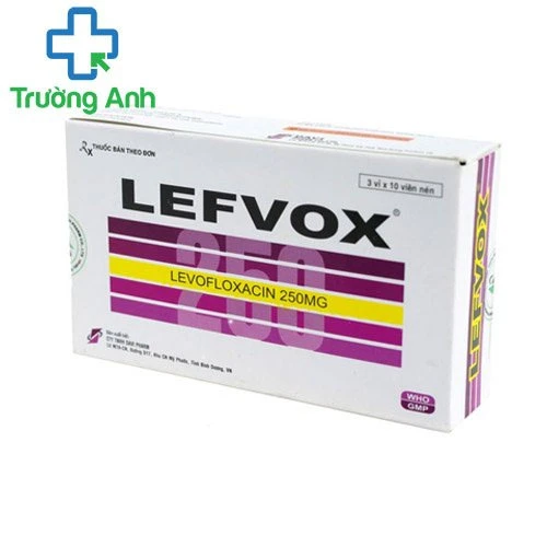Lefvox-250 - Thuốc điều trị nhiễm khuẩn hiệu quả